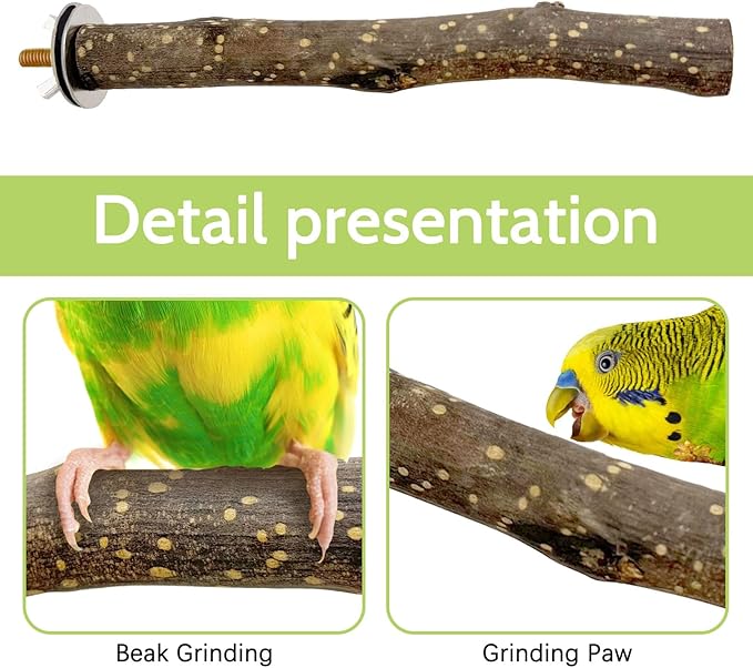 BNOSDM Natural Wood Bird Ladder Perch 6Pcs Parrot Stand Branches Climbing Chewing Stick Parakeet Swing Toys Cage Accessories Paw Grinding Fork Sets for Lovebirds Cockatiels Conure Budgies