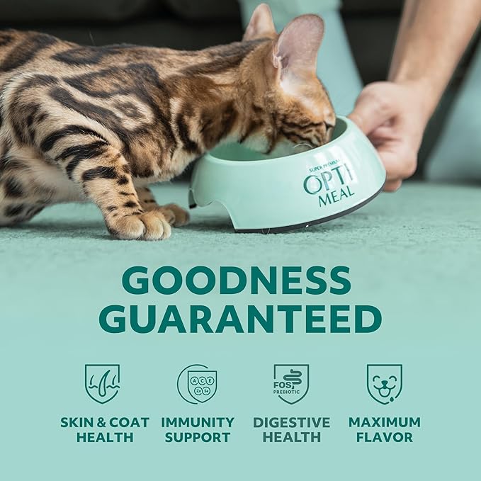 Optimeal Grain-Free Wet Cat Food – Chicken & Turkey Recipe, High Protein & Moisture Rich Indoor Adult Cats Food, Tender Morsels in Savory Gravy Natural Ingredients - 3 oz Pouches, 12 Pack
