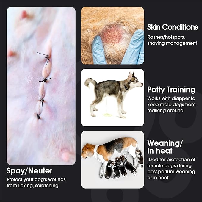 FUAMEY Dog Recovery Suit Male,Dogs Surgery Neuter Suits Puppy Spay Shirts for Female Protect Dog's Skin Anti Licking Abdominal Wounds Doggie Onesie Pet Bodysuit Alternative to Cone Orange M