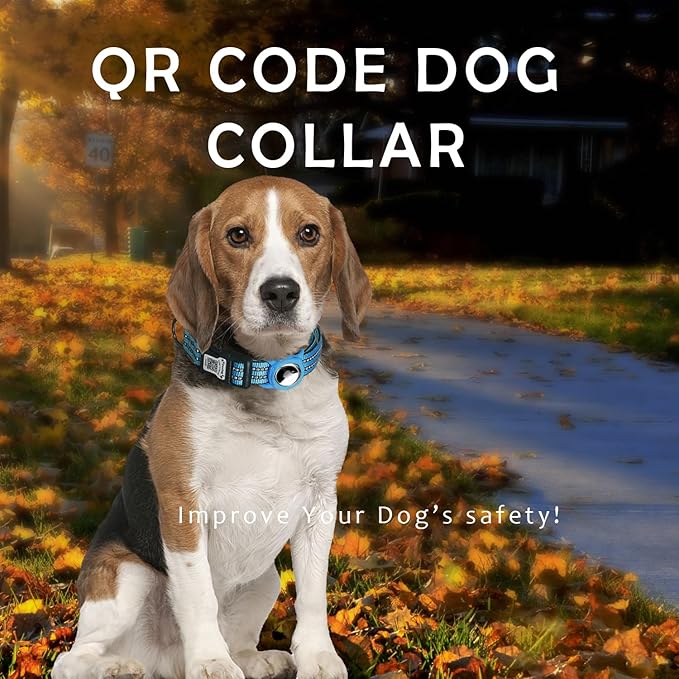 Reflective Dog Collar with Apple AirTag Holder & QR Code Pet ID Tag,Soft Nylon Adjustable Dog Tracker Collar with Safety Lock for Medium Dogs(Blue, M)