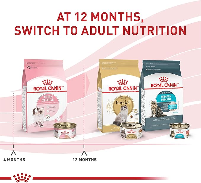 Royal Canin Feline Health Nutrition Kitten Loaf in Sauce Canned Cat Food, 3 oz can (Pack of 24)