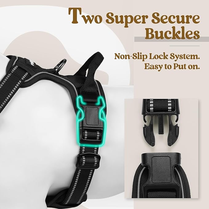 rabbitgoo Dog Harness No Pull with 2 Leash Clips, Adjustable Soft Padded, Reflective Oxford No Choke Pet Vest with Easy Control Handle for Small Dogs, Black, S