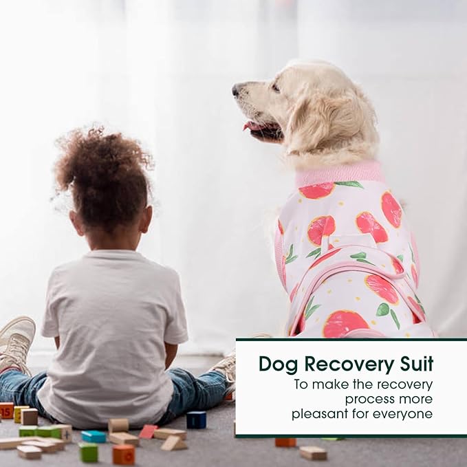 Kuoser Dog Recovery Suit Female, Dog Onesie for Surgery, Female Spay and Male Neuter Onesie for Post-Op Care, Prevent Licking Puppy Onesies, Pink L