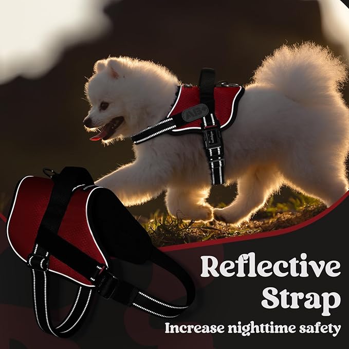 rabbitgoo Dog Harness for Large, Easy On Pet Vest with One Buckle, No Pull Adjustable Service Harness with D-Ring & Handle, Reflective for Safety Walking, Training, Red, L