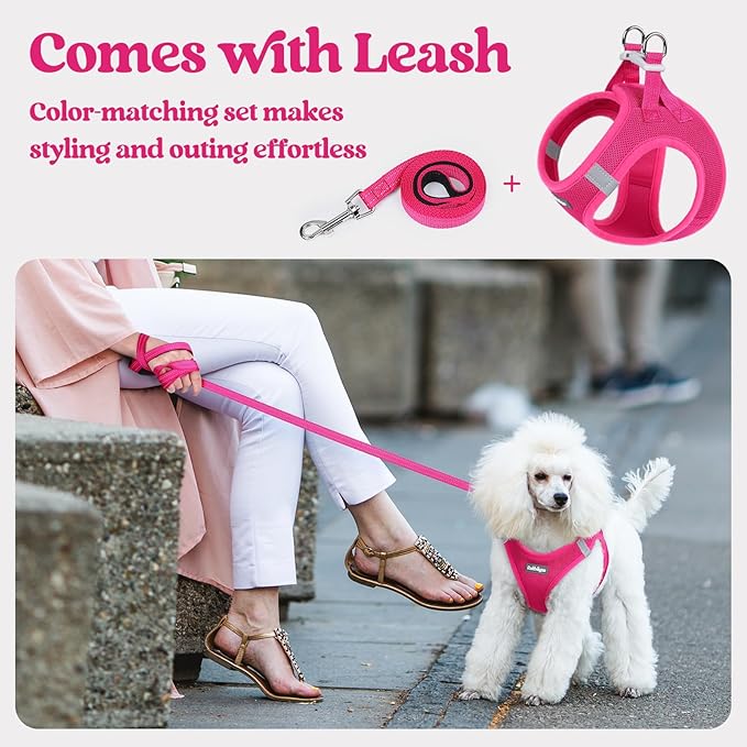 rabbitgoo Dog Harness Small Sized and Leash Set, Step in Soft Light Puppy Vest, Breathable Mesh Pet Harness, Reflective for Safe Easy Walking, Rose Red S