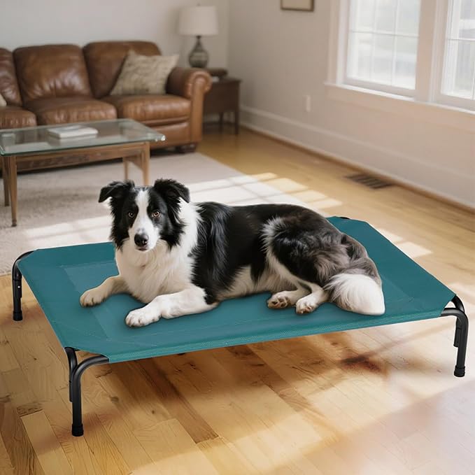 Elevated Dog Bed for Outdoor, Medium Raised Dogs Cot for Training, Cooling Pet Beds with Washable Mesh, Indestructible Lifted Platform for Outside Camping, 35 inch Green