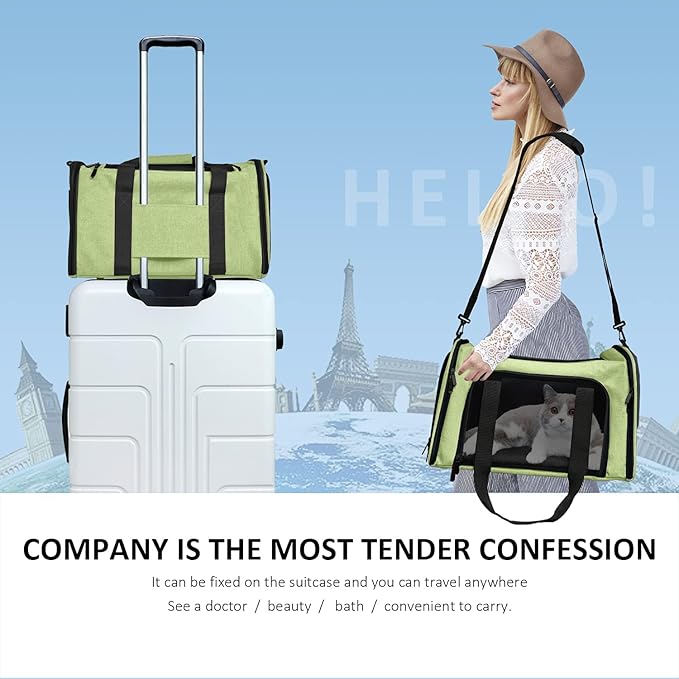 Pet Carrier for Small Medium Cats Dogs Puppies up to 15 Lbs, Airline Approved Small Dog Carrier Soft Sided, Collapsible Travel Puppy Carrier - Green