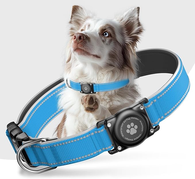 Airtag Dog Collar - 100% Waterproof Air tag Dog Collar Holder for Apple AirTag, Reflective, Soft Padded, Everlasting, GPS Dog Collar for Small Medium Large Dogs (Blue, L)