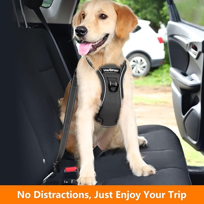 Dog Seat Belt Harness for Car, Dog Car Harness Adjustable Mesh Breathable & Dogs Seatbelt Safety Tether with Elastic Bungee for Small Medium Large Pets(Carbon Black, S)