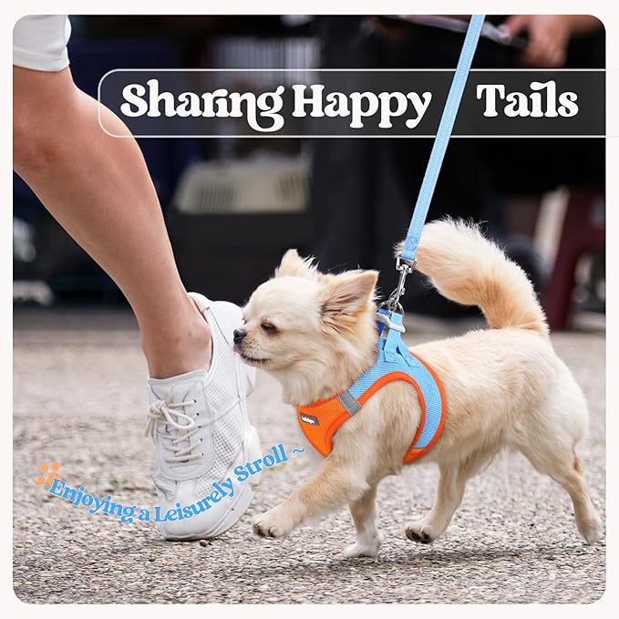 rabbitgoo Dog Harness Small Sized and Leash Set, Step in Soft Light Puppy Vest, Breathable Mesh Pet Harness, Reflective for Safe Easy Walking, Blue & Orange XS