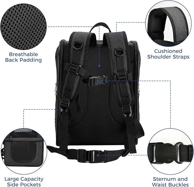 Apollo Walker Dog & Cat Carrier Backpack for 4-15lb Pets - Ventilated Safe Design with Padded Back Support, Breathable Mesh Pet Backpack for Hiking, Travel, Outdoor (Black)