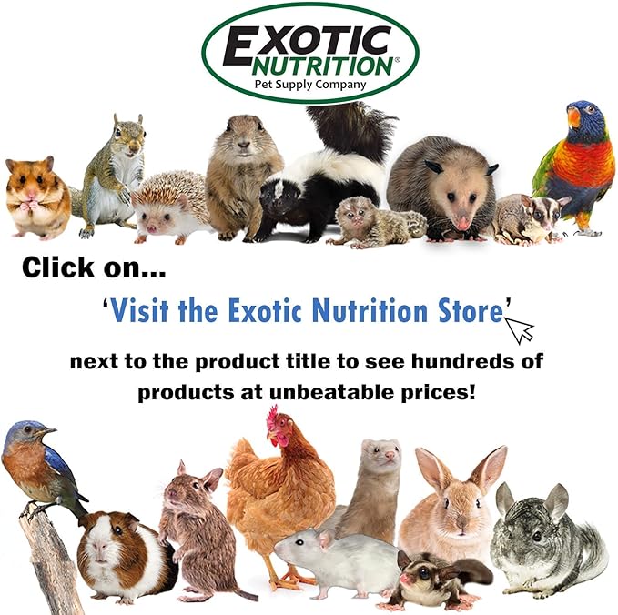 Apple & Oat Puff Sticks (6 oz.) - Healthy Natural High Fiber Chew Treat Made with Oat Hay - Rabbits, Guinea Pigs, Hamsters, Chinchillas, Degus, Prairie Dogs, Squirrels, Skunks, Opossums, Small Pets