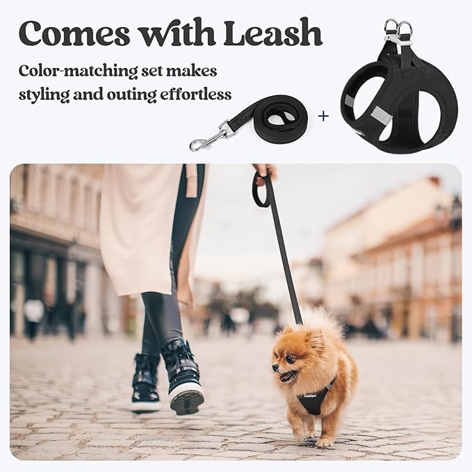 rabbitgoo Dog Harness Small Medium Sized and Leash Set, Step in Soft Light Puppy Vest, Breathable Mesh Pet Harness, Reflective for Safe Easy Walking, Black L