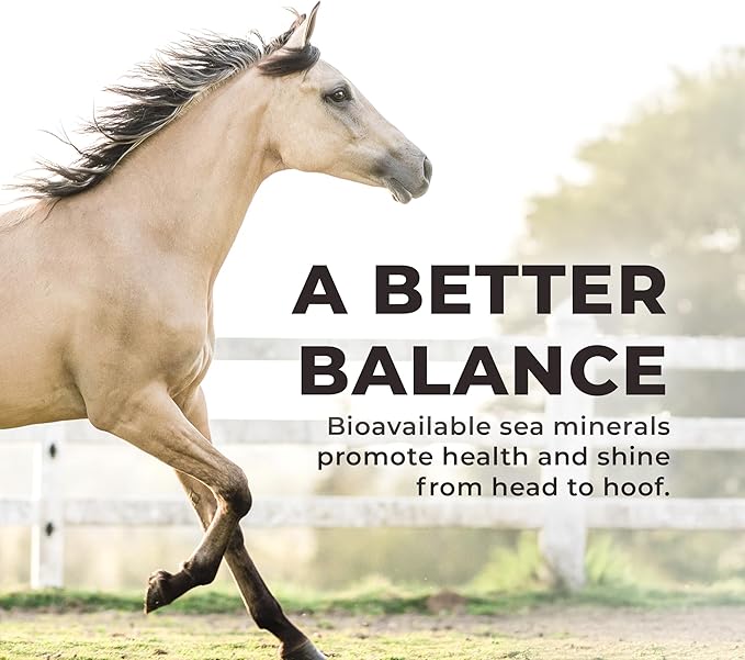 Redmond Daily Red Crushed Garlic | Horse Minerals & Vitamins Supplement | Garlic for Horses