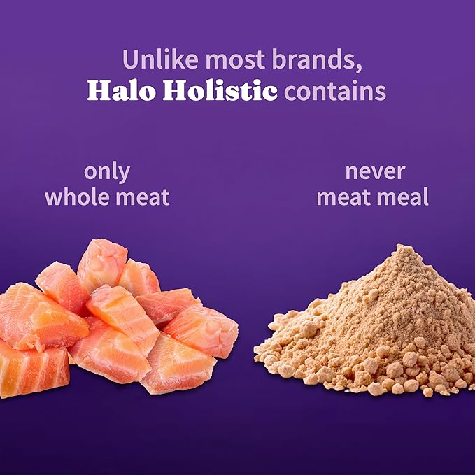 Halo Holistic Cat Food Wild Caught Salmon & Whitefish Formula, Healthy Grains Dry Cat Food, Complete Digestive Health, Kibble for Adult Cats, 10 lb Bag