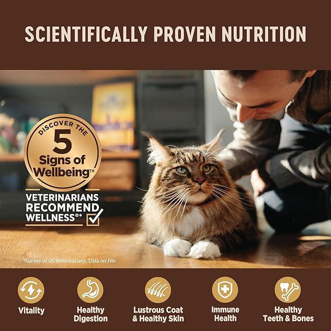 Wellness CORE+ Digestive Health Pate Adult Wet Cat Food, Natural, Protein-Rich, Grain Free, 3 Ounce, 12 Pack (Chicken)
