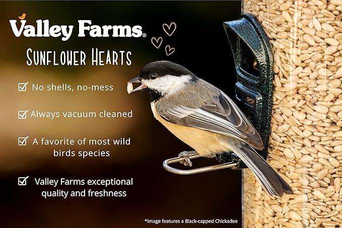 Valley Farms Whole Sunflower Hearts for Birds, Girasol Kernels Wild Bird Food, No Mess Wild Bird Seed for Outside Feeders (4 LBS)