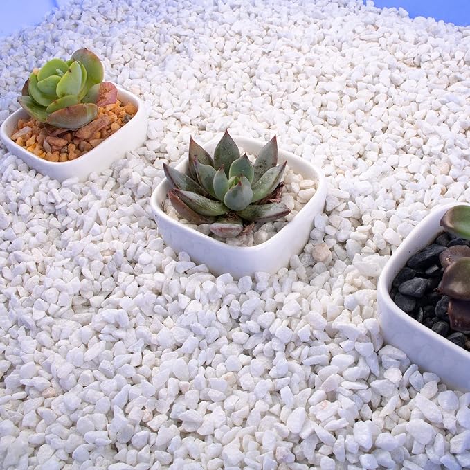 3lb White Cactus Pea Gravel Rocks,1/4 Inch Pebbles for Indoor Plants, Natural Succulent Rock and River Rocks Decorative for Aquariums, Vases, Outdoor Gardening, Top Dressing for Potted Plants