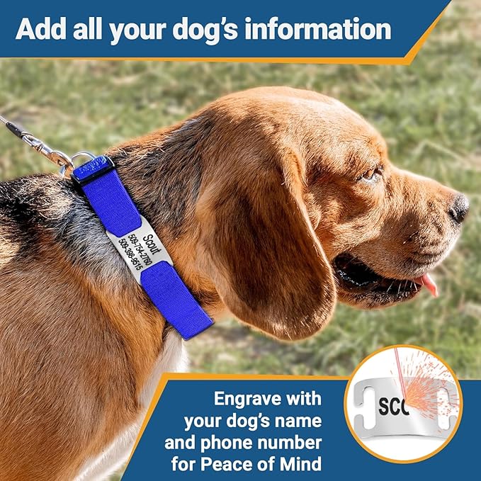 GoTags Personalized Dog Collar with Nameplate, Adjustable Dog Collar with Custom Engraved Slide On Pet ID Tag in Stainless Steel, Silent, No Noise Dog Tag (Beige, Medium)