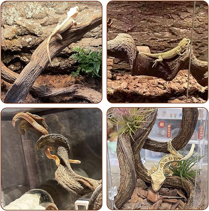 BNOSDM 2Pcs Reptile Climbing Branches Decor,Snake Climbing Branch,Gecko Climb Wood,Lizard Forest Branch,Tank Habitat Tree Trunk Decorations for Bearded Dragons,Chameleons,Spider,Frogs (M)