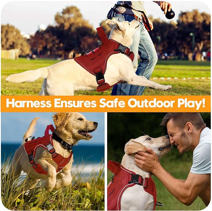Heavy-Duty Tactical Dog Harness for Large Dogs, No Pull Adjustable Reflective Pet Vest with Molle System, K9 Military-Grade Control for Service Training, Outdoor & 10+ Breeds, Red, Small
