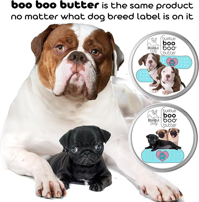 The Blissful Dog Springer Spaniel Boo Butter, 2 oz