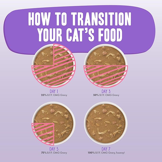 Weruva B.F.F. OMG - Best Feline Friend Oh My Gravy!, Tuna & Salmon Start Me Up with Tuna & Salmon, 5.5oz Can (Pack of 8)