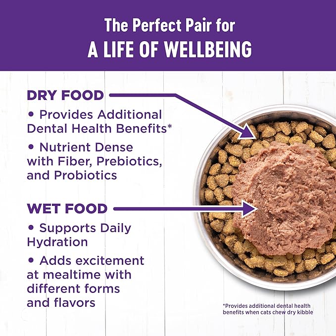Wellness Complete Health Pate Adult Wet Cat Food, Natural, Protein-Rich, Grain Free, 5.5 Ounce, 24 Pack, (Turkey & Salmon)