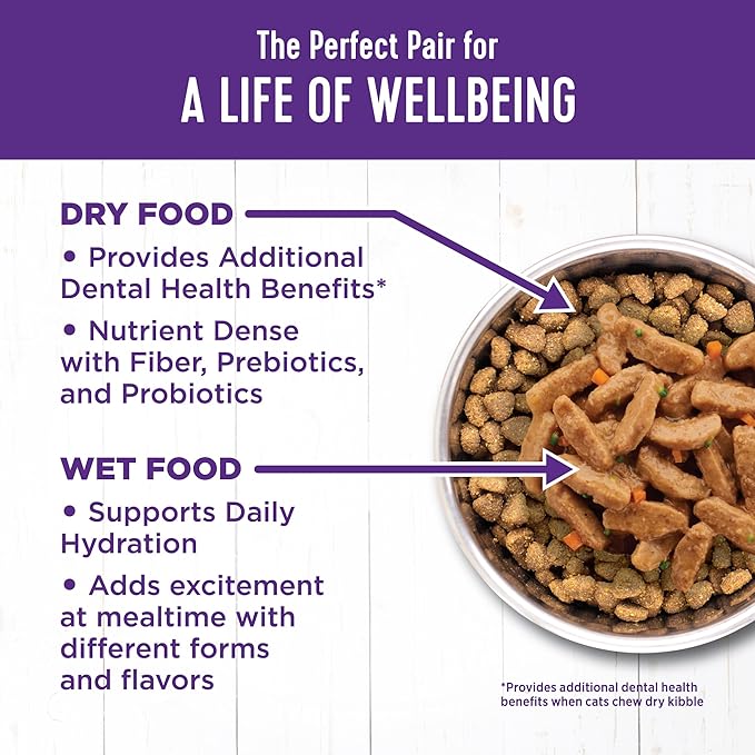 Wellness Complete Health Sliced Adult Wet Cat Food, Natural, Protein-Rich, Grain Free, 5.5 Ounce, 24 Pack, (Turkey & Salmon Entrée)