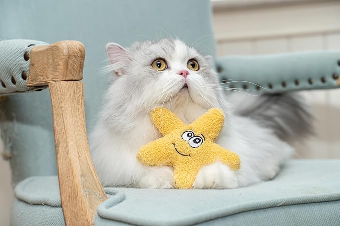 Interactive Catnip Cat Plush Toy, Ocean Theme, 5'', for All Breed Size Cats (Starfish)