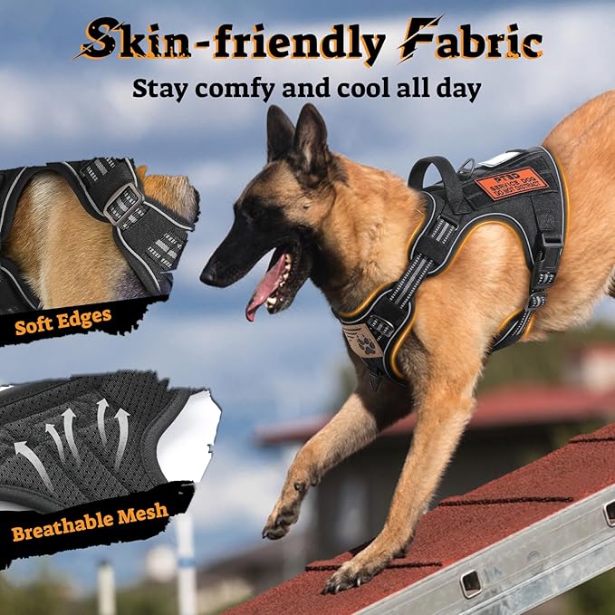 rabbitgoo Dog Harness Medium Sized No Pull, Tactical Service Pet Vest with Molle and Control Handle, Adjustable and Reflective Military Harness for Easy Walking and Training, Black, M