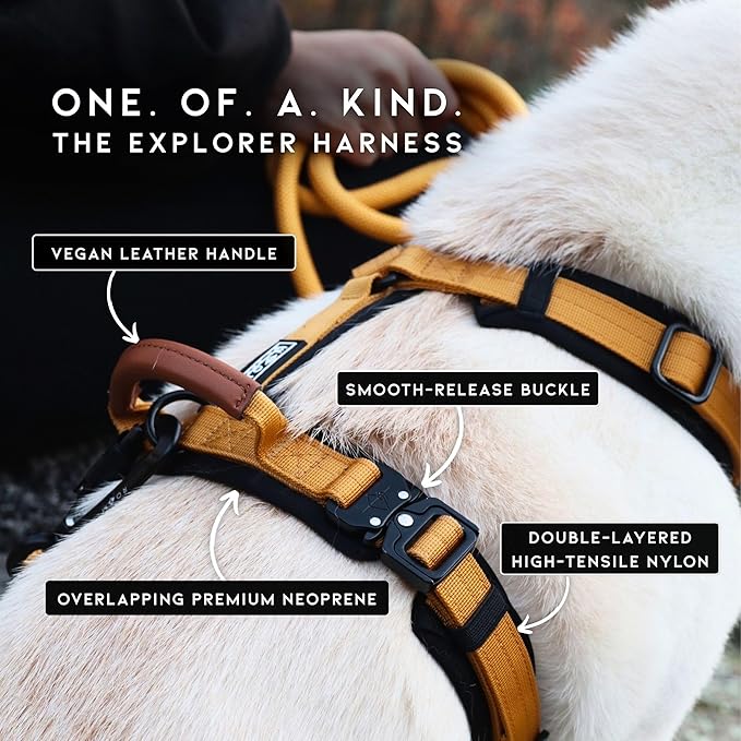 MADE TO ROAM Premium Explorer Harness - Y-Shaped Dog Harness with Adjustable Durable Nylon, Soft Padding, Metal Buckles and Leather Handle for Small, Medium, Large Dogs (Virginia Mountains, Size 1)