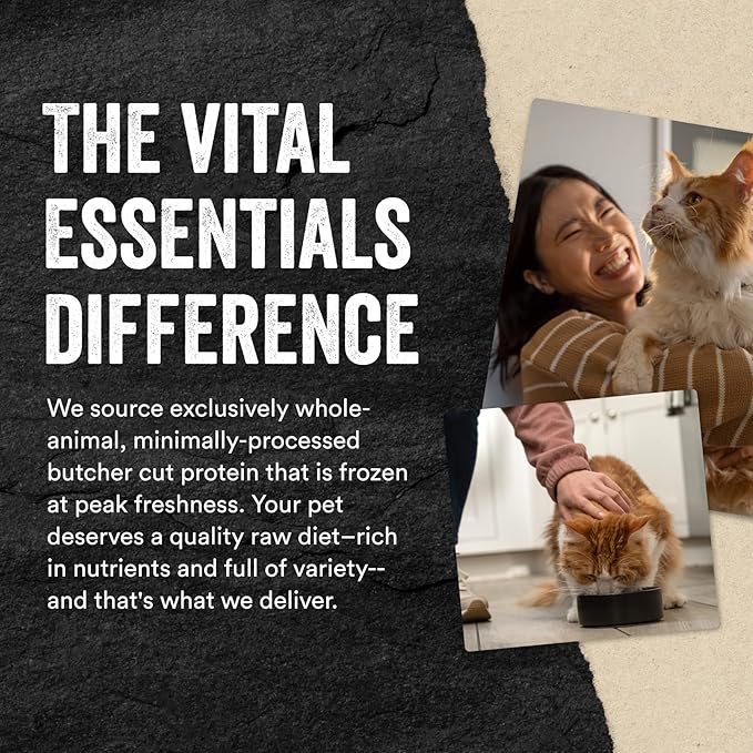 Vital Essentials Salmon Bites Cat Treats, 1.1 oz | Freeze-Dried Raw | Single Protein | Grain Free, Gluten Free, Filler Free