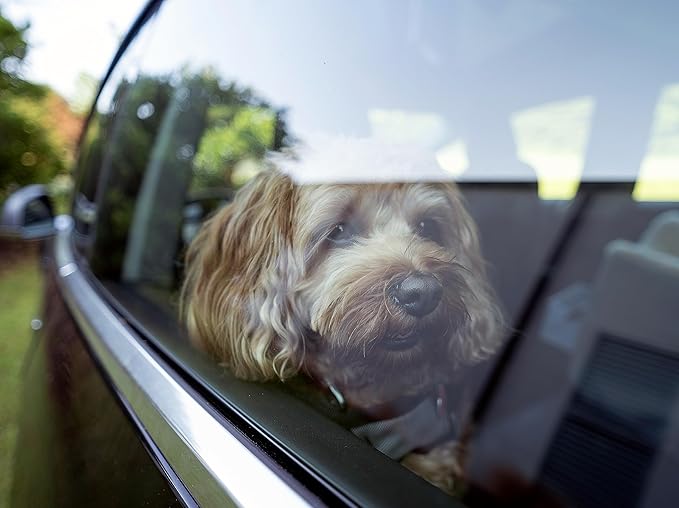 Snoozer Dog Car Seat, Lookout I Dog Booster Car Seat for Small Dogs Under 25lbs, Size: Medium, Fabric: Merlin Camel, Pet Car Seat to Alleviate Car Sickness for Dogs, Removable Machine Washable Cover