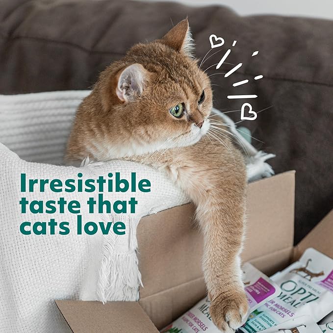 Optimeal Grain-Free Wet Cat Food – Beef & Rabbit Recipe, High Protein & Moisture Rich Indoor Adult Cats Food, Tender Morsels in Savory Gravy Natural Ingredients - 3 oz Pouches, 12 Pack