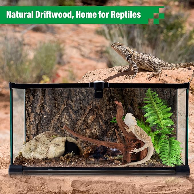 Driftwood for Aquarium Natural Aquarium Wood for Aquascaping Fish Tank Decorations Reptile Tank Decor (Natural Driftwood 6-10" (Pack of 3))