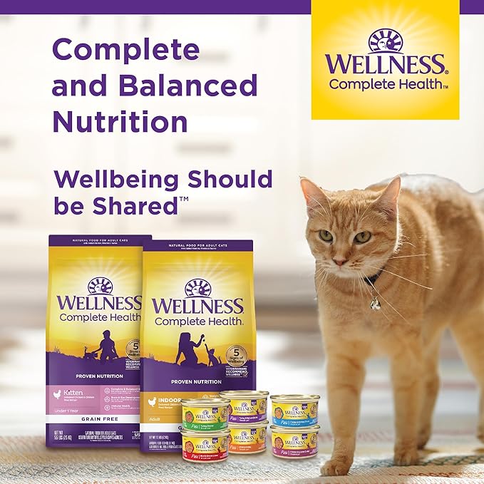 Wellness Complete Health Gravy Adult Wet Cat Food, Natural, Protein-Rich, Grain Free, 5.5 Ounce, 12 Pack, (Salmon Entree)
