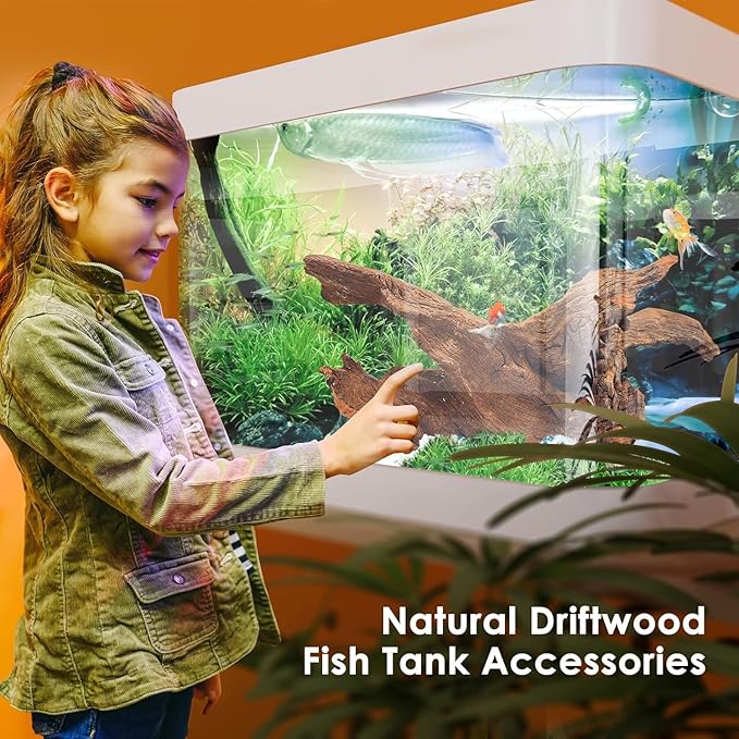 Natural Aquarium Driftwood for Fish Tanks & Reptile Terrariums – Safe Fish Tank Decorations, Unique Twisted Branches 3-Piece 7-11 Inch Low Tannin, Easy to Sink