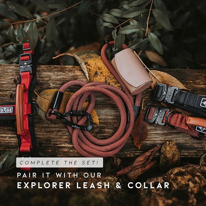 MADE TO ROAM Premium Explorer Harness - Y-Shaped Dog Harness with Adjustable Durable Nylon, Soft Padding, Metal Buckles and Leather Handle for Small, Medium, Large Dogs (Washington Rain, Size 2)