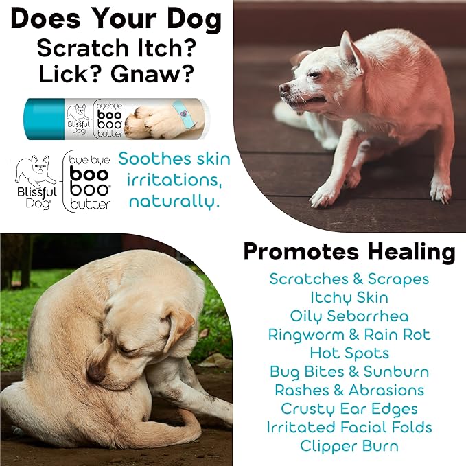 The Blissful Dog Labradoodle Boo Butter, 8 oz