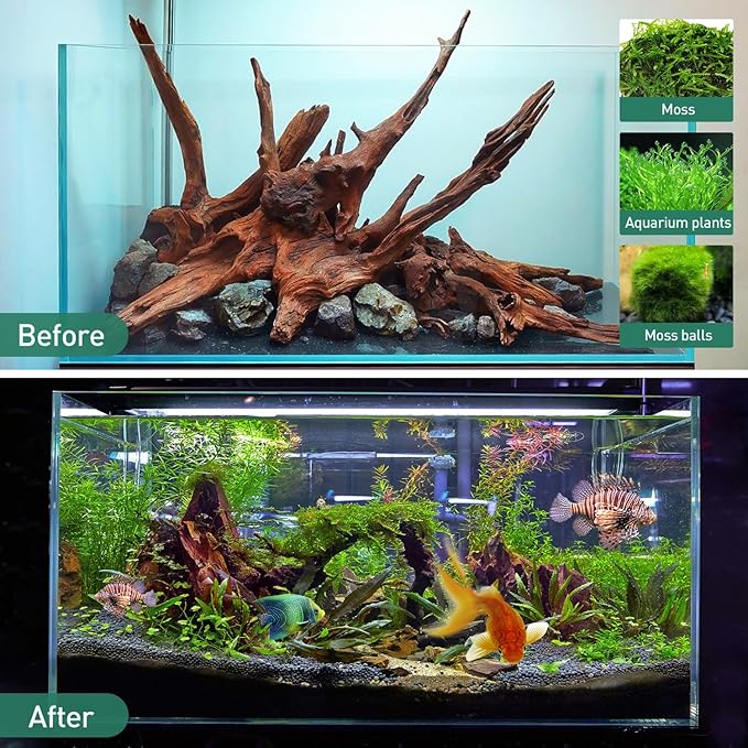 WDEFUN Natural Extral Large Driftwood for Aquarium Decor, 2-Piece 14''-18'' Driftwood for Decorations on Fish Tank, Reptiles Bearded Dragon Accessories or Air Plants