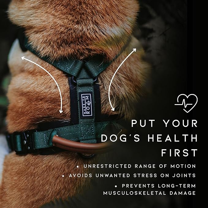 MADE TO ROAM Premium Explorer Harness - Y-Shaped Dog Harness with Adjustable Durable Nylon, Soft Padding, Metal Buckles and Leather Handle for Small, Medium, Large Dogs (Arizona Heartbeat, Size 1)