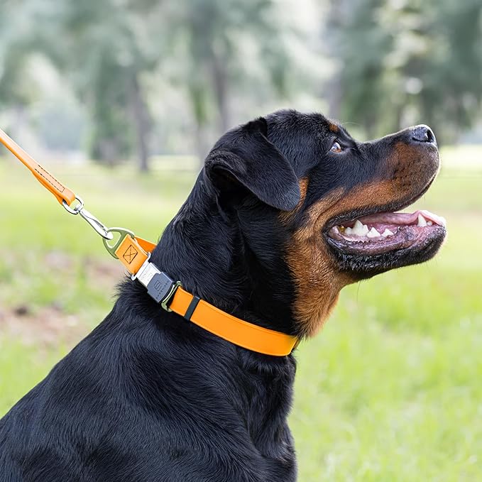 Dogline Biothane Waterproof Dog Collar with Herm Sprenger Stainless Steel Quick Release Buckle – Heavy Duty Tactical Durable Collar for Dogs – Comfortable and Safe Pet Collar W 3/4" L 12-19" Tangerine