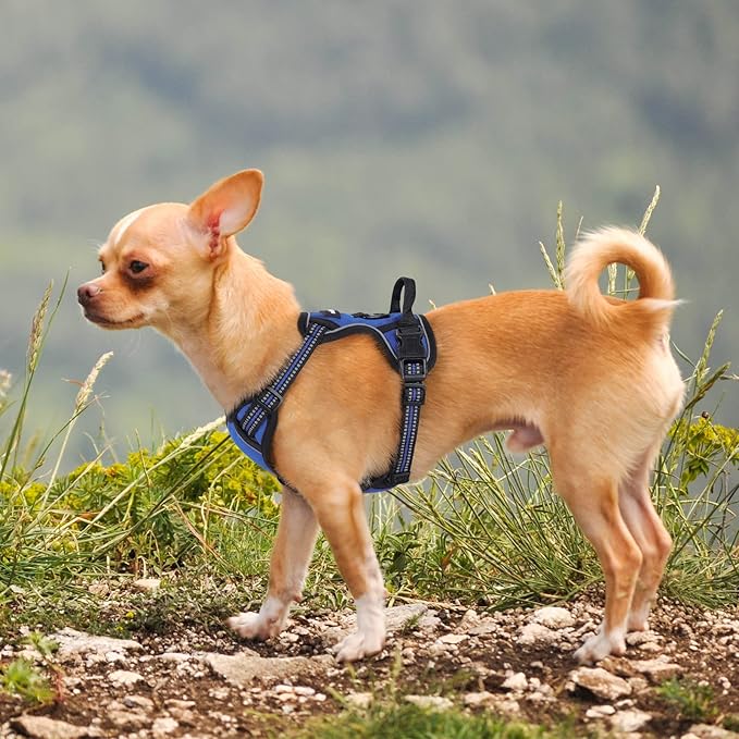 rabbitgoo Dog Harness No Pull with 2 Leash Clips, Adjustable Soft Padded, Reflective Oxford No Choke Pet Vest with Easy Control Handle for Puppy, Dazzling Blue,XS