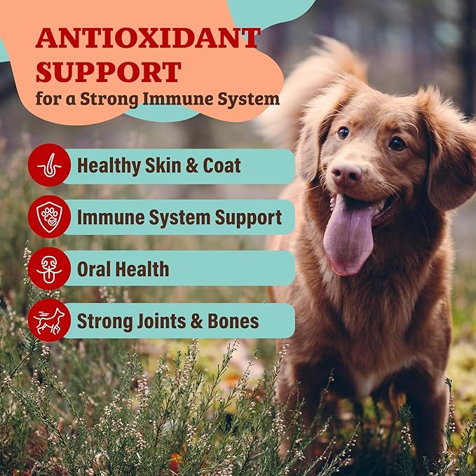 Natural Dog Company Dog Food Topper, Antioxidant Berry Vitamins & Superfood Meal Topper Supplement, Holistic Nutrition, Dog Food Seasoning, Immune Support, All Breeds, Ages, & Sizes of Dogs, 8oz Bag