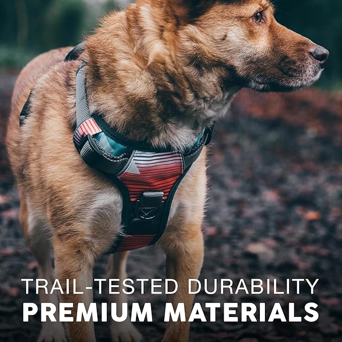 Embark Adventure Dog Harness, Reflective Trim No Pull Dog Harnesses for Small Sized Dogs - Military Grade Nylon, Front Clip with Gel Lined Handle.