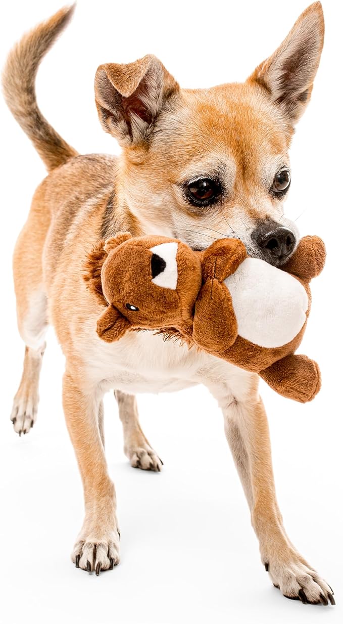 Playology Dog Toys | Plush Toy Squirrel Stuffed Animal for Dogs | Small Peanut Butter Scented Toy - Easy to Clean and Made from Non Toxic Materials