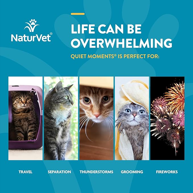 NaturVet Scoopables Quiet Moments Cat Calming Aid - Promotes Calm with Stressful Events Storms, Fireworks, Travel, Separation Anxiety - Cat Health Supplement w/Melatonin - Salmon Flavored | 5.5oz Bag