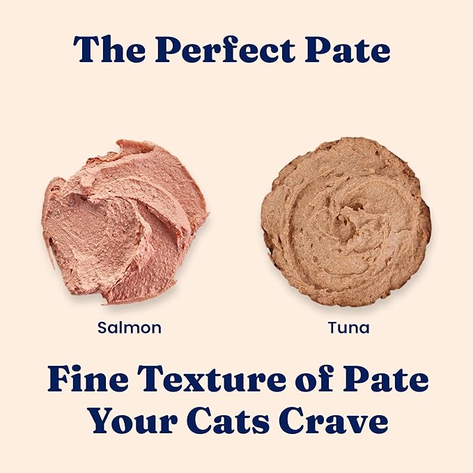Solid Gold Tropical Blendz Salmon Pate in Coconut Oil - Nutrient-Rich Wet Cat Food for All Life Stages, 16 Pack