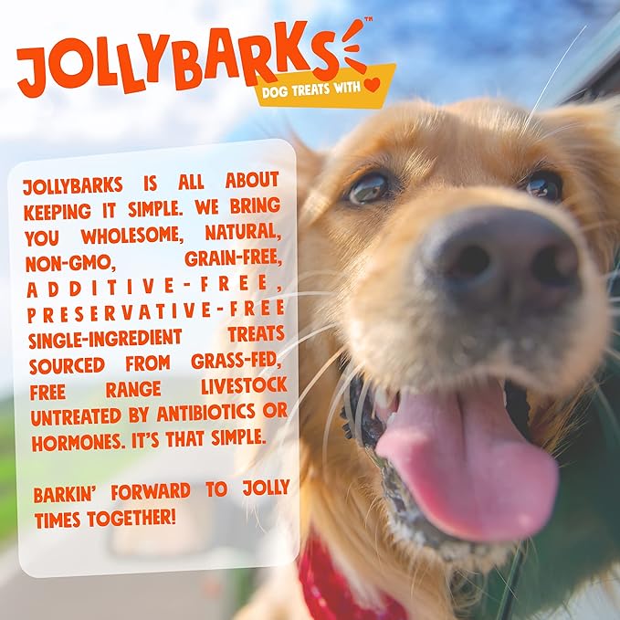 Junior Bully Sticks for Small Dogs | All Natural, Single Ingredient Bully Sticks for Puppies to Medium Dogs (12 Inch - 15pk)